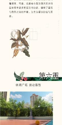 探索知识星球平台 | 鱼在藻得的什么病聚集的智慧分享