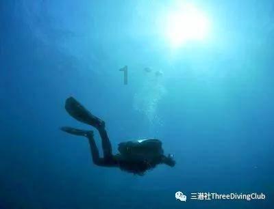 催婚,你会欺骗你的父母吗?知识星球-专注知识分享与交流平台